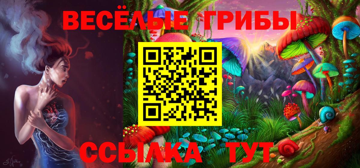 Сегежа  Псилоцибиновые грибы мицелий  Вход с VPN 